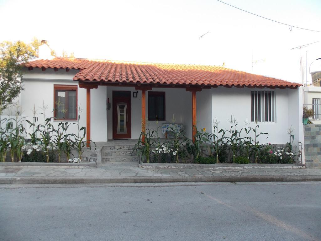 Galina Holiday Home Agios Evstratios Exteriör bild